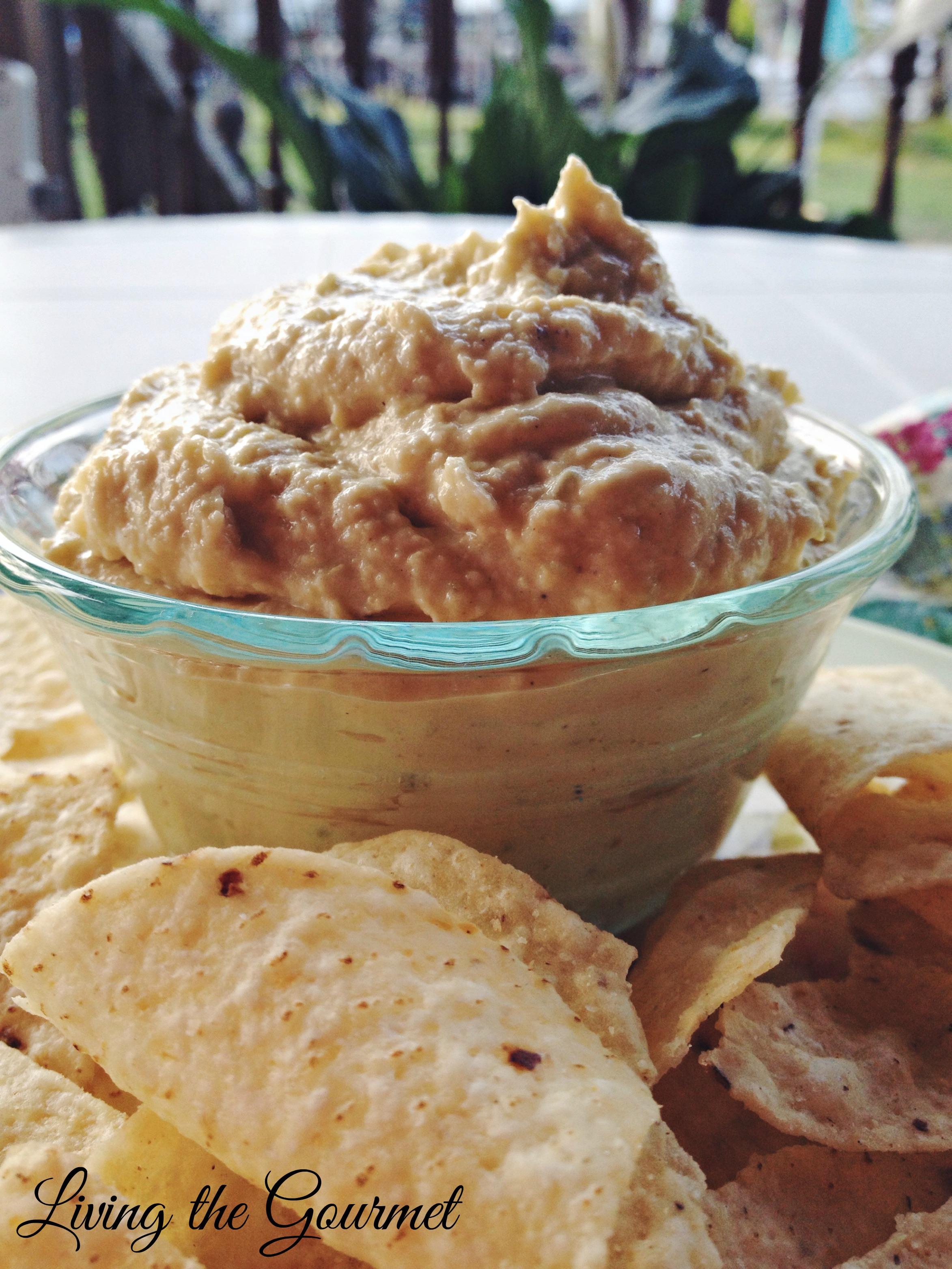 Creamy Hummus Dip - Living The Gourmet