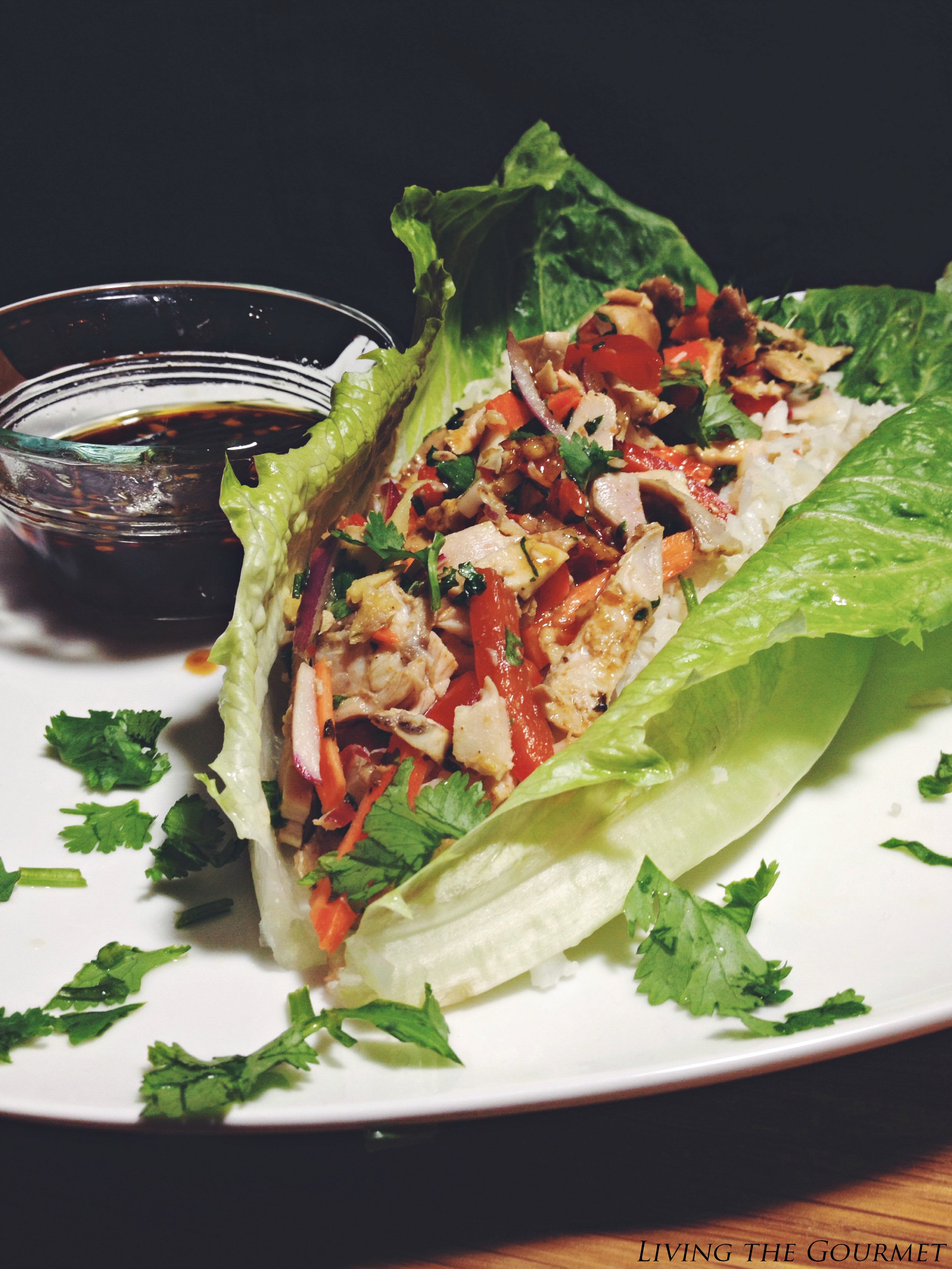 Asian Style Chicken Salad - Living The Gourmet