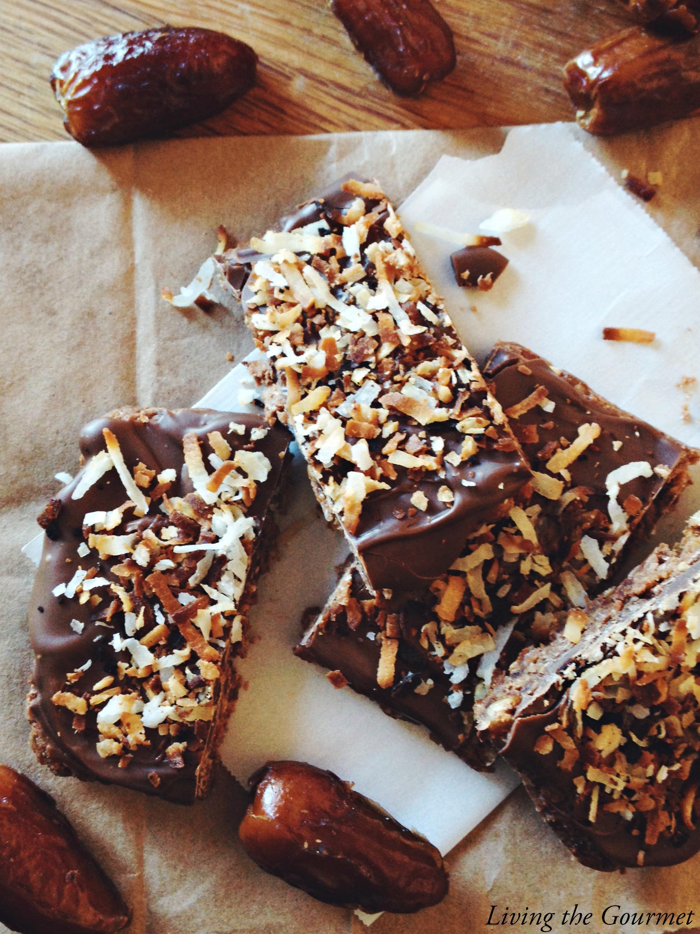 Living the Gourmet: Cocoa Protein Bars