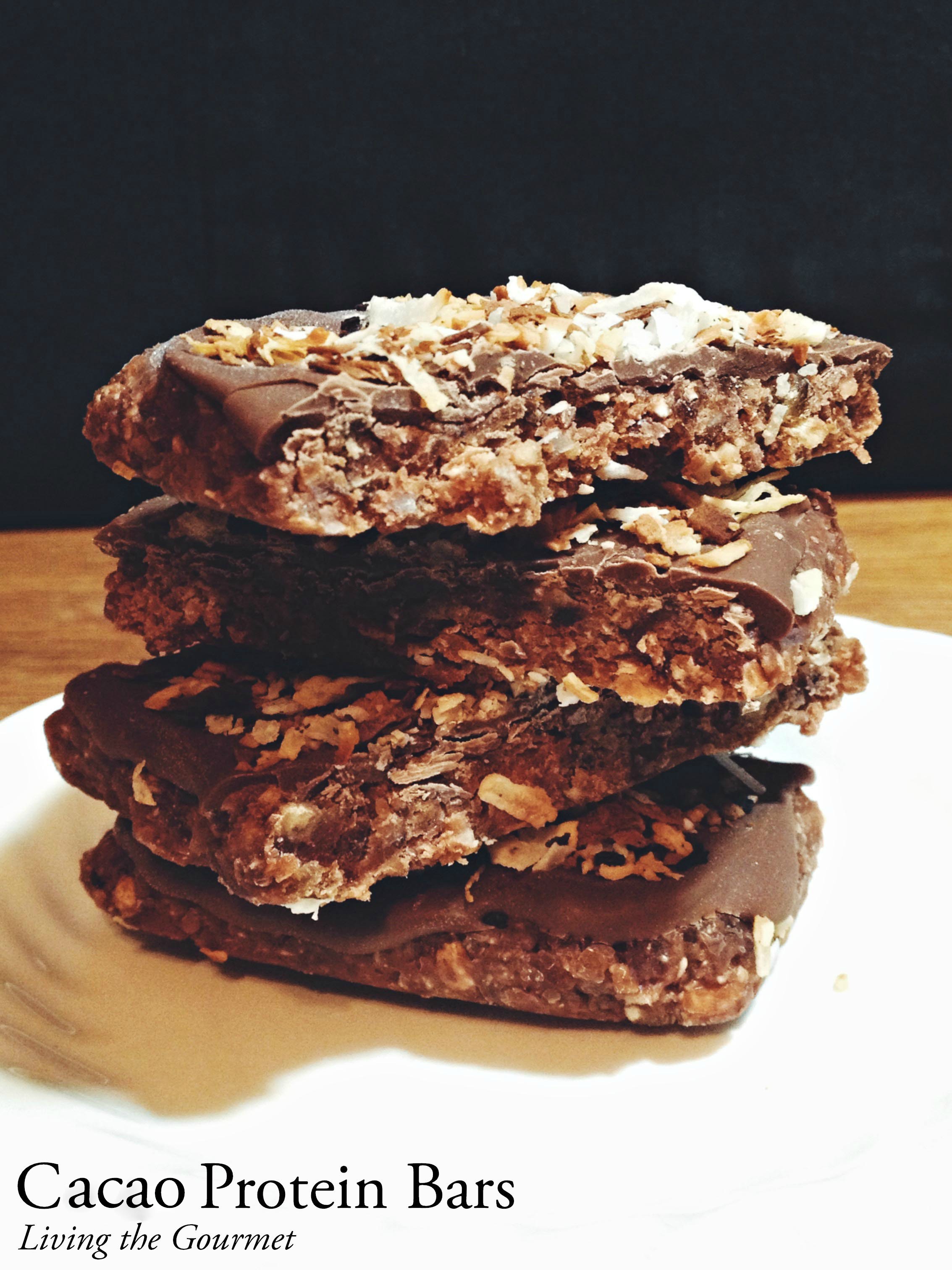 Living the Gourmet: Cocoa Protein Bars
