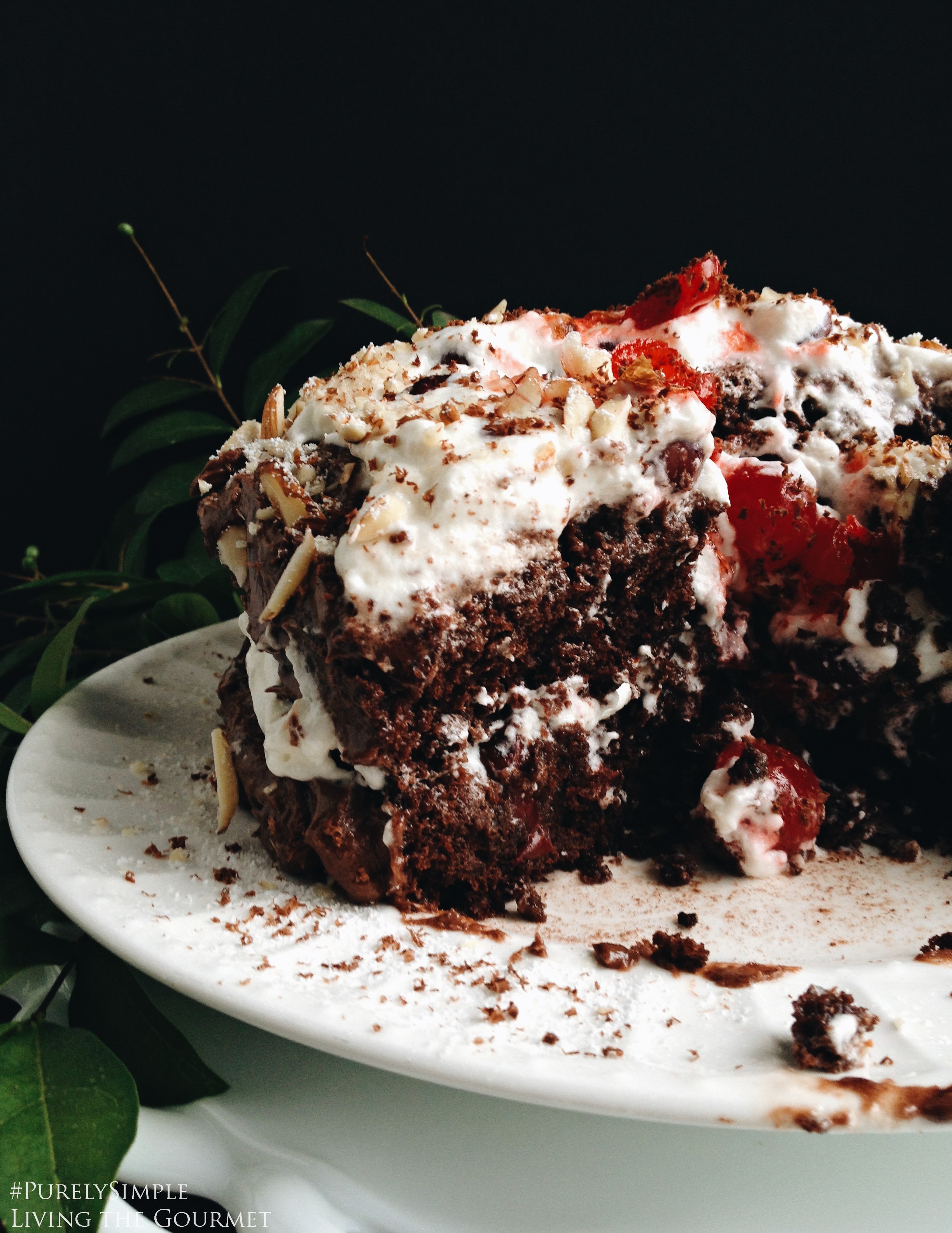 black forest cake photo image