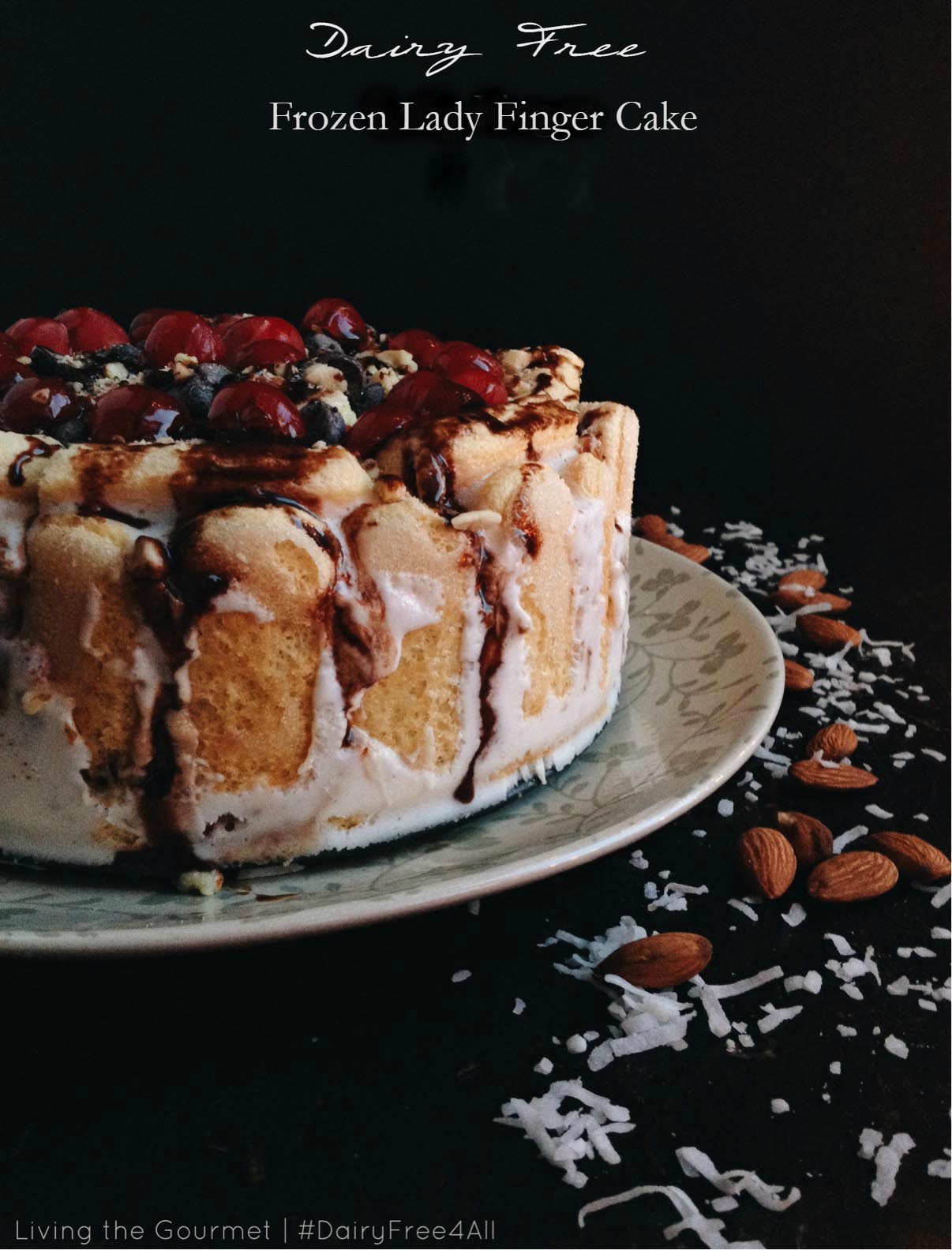 CHOCOLATE, PLUM AND MACADAMIA CAKE