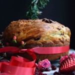 Holiday Panettone with Craisins