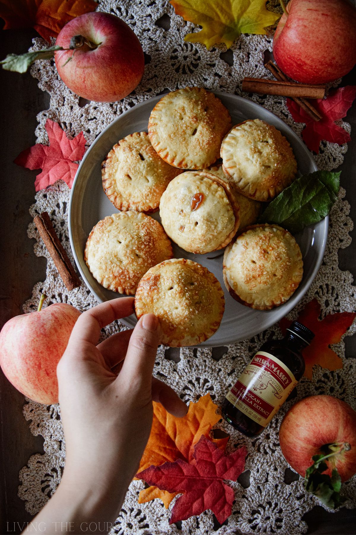 Spiced Apple Hand Pies