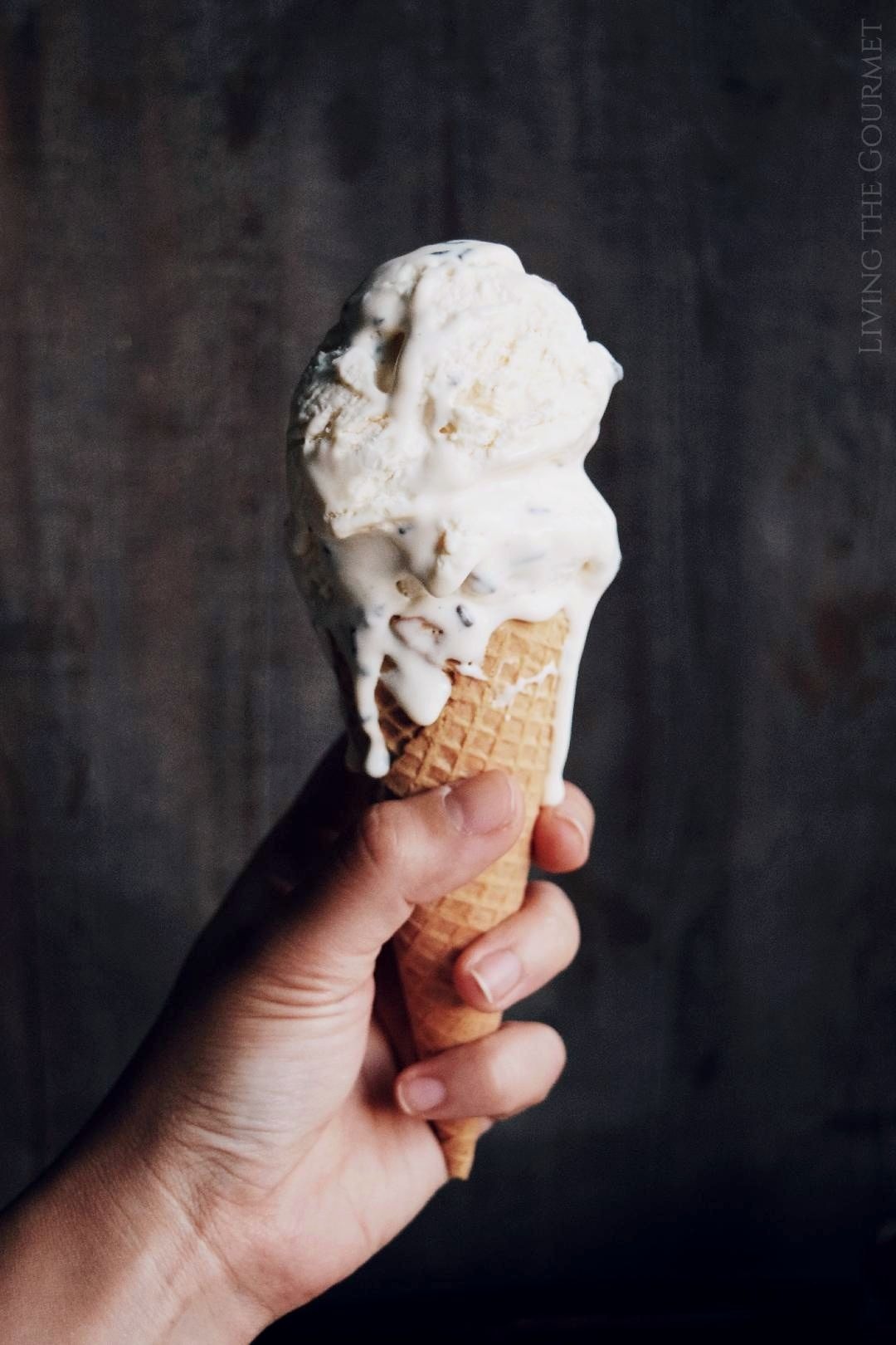 Homemade Coffee Ice Cream (No-Churn Recipe!) Joy the Baker