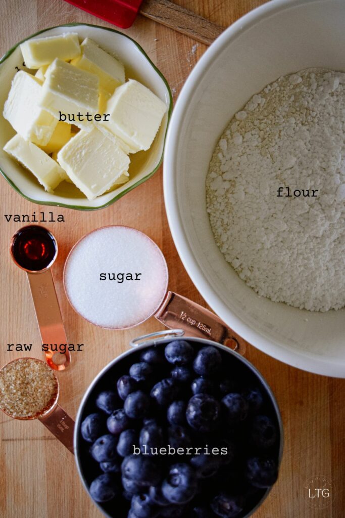 Blueberry Shortbread Bars