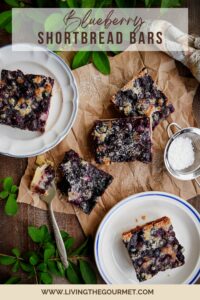 Blueberry Shortbread Bars