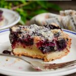 Blueberry Shortbread Bars