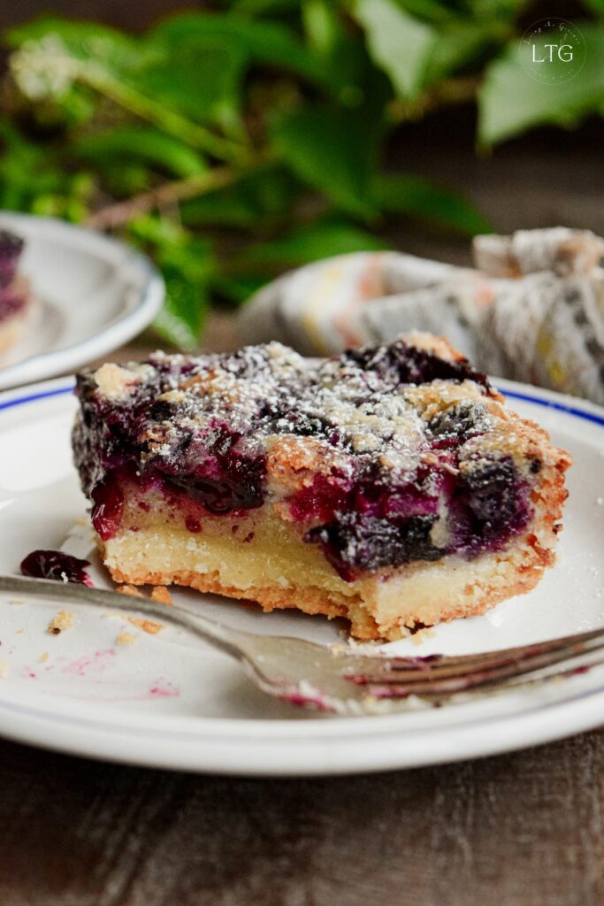 Blueberry Shortbread Bars