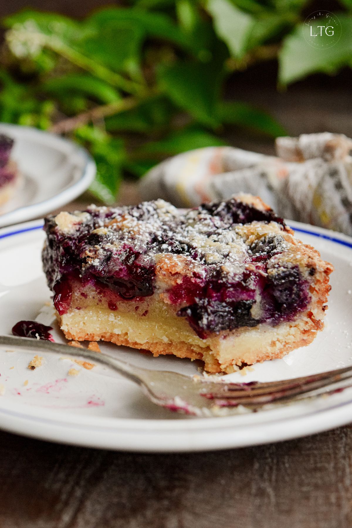 Blueberry Shortbread Bars