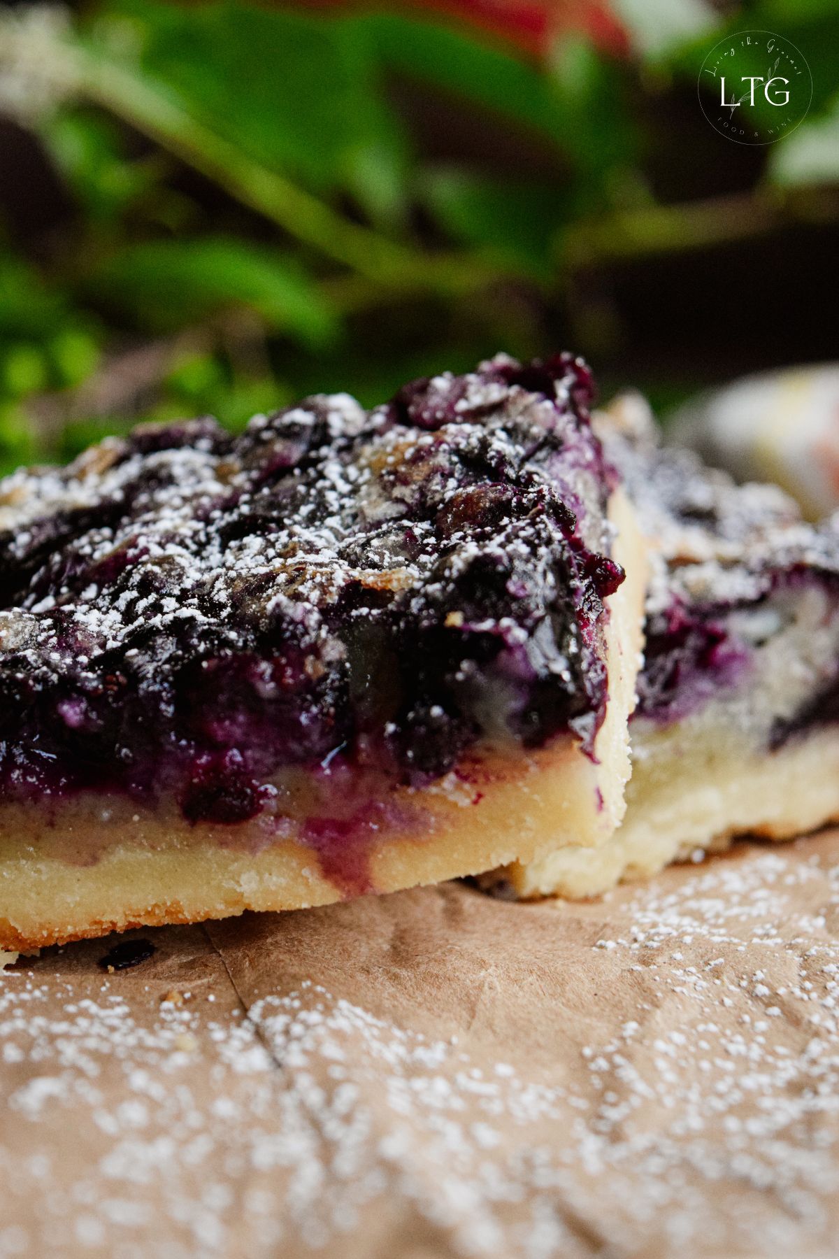 Blueberry Shortbread Bars