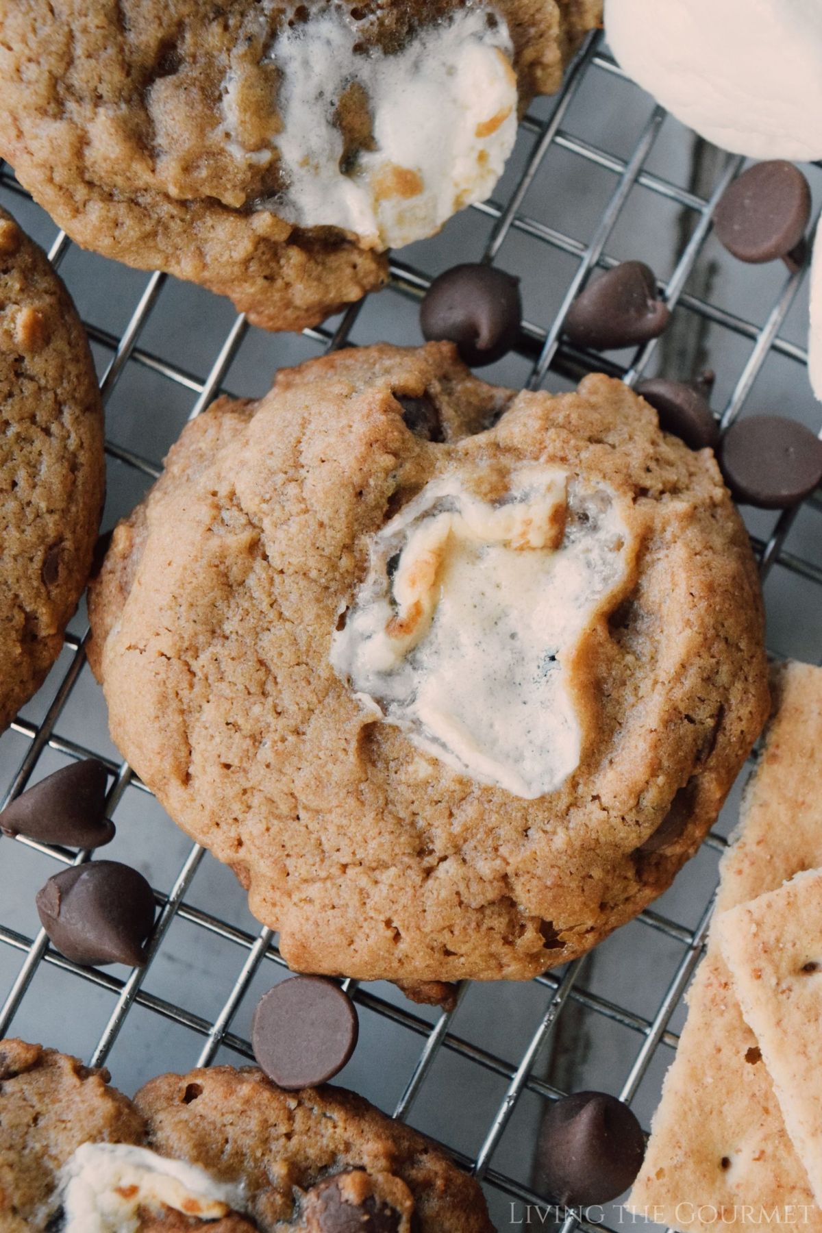 Brown Butter S'mores Chocolate Chip Cookies