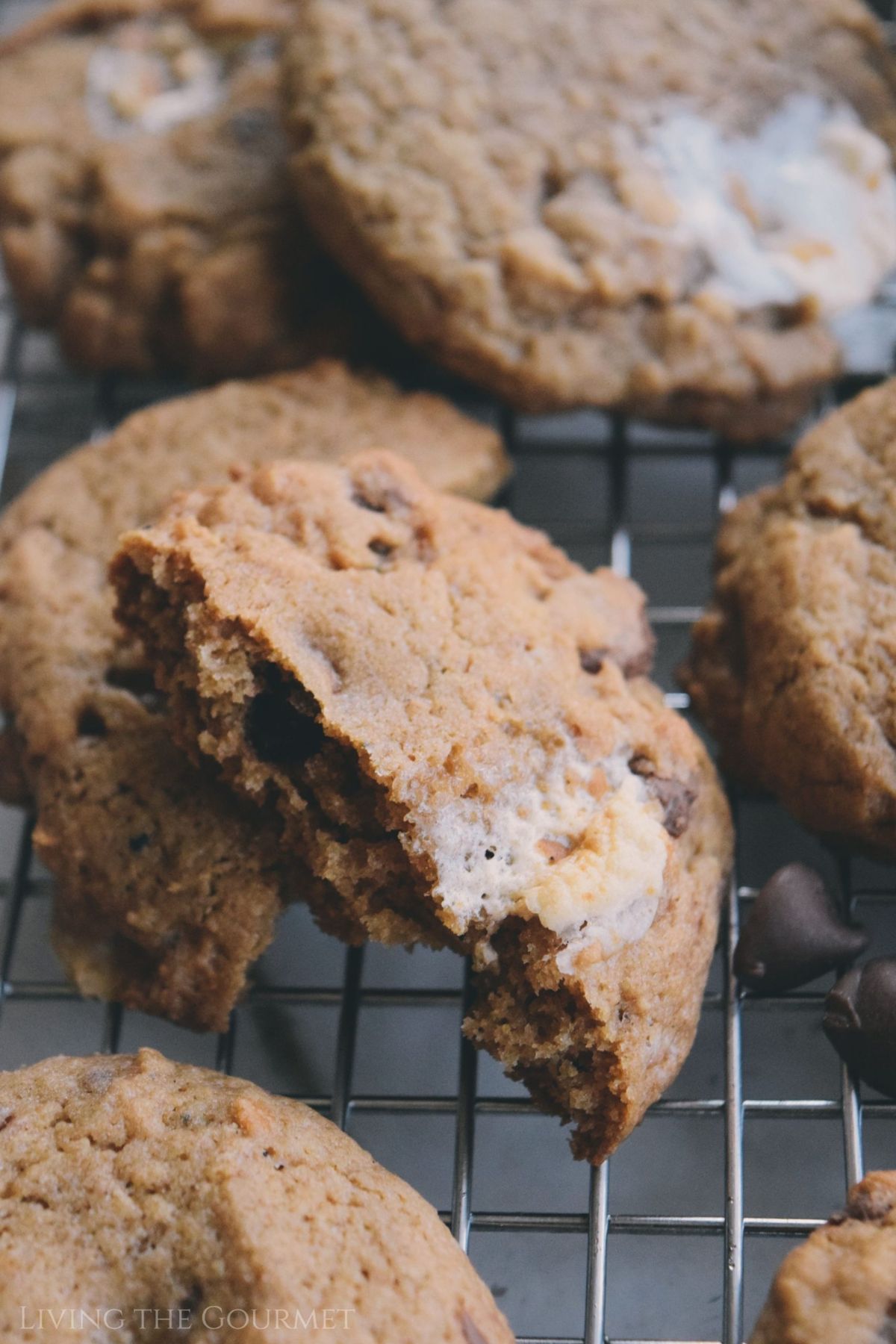 Brown Butter S'mores Chocolate Chip Cookies