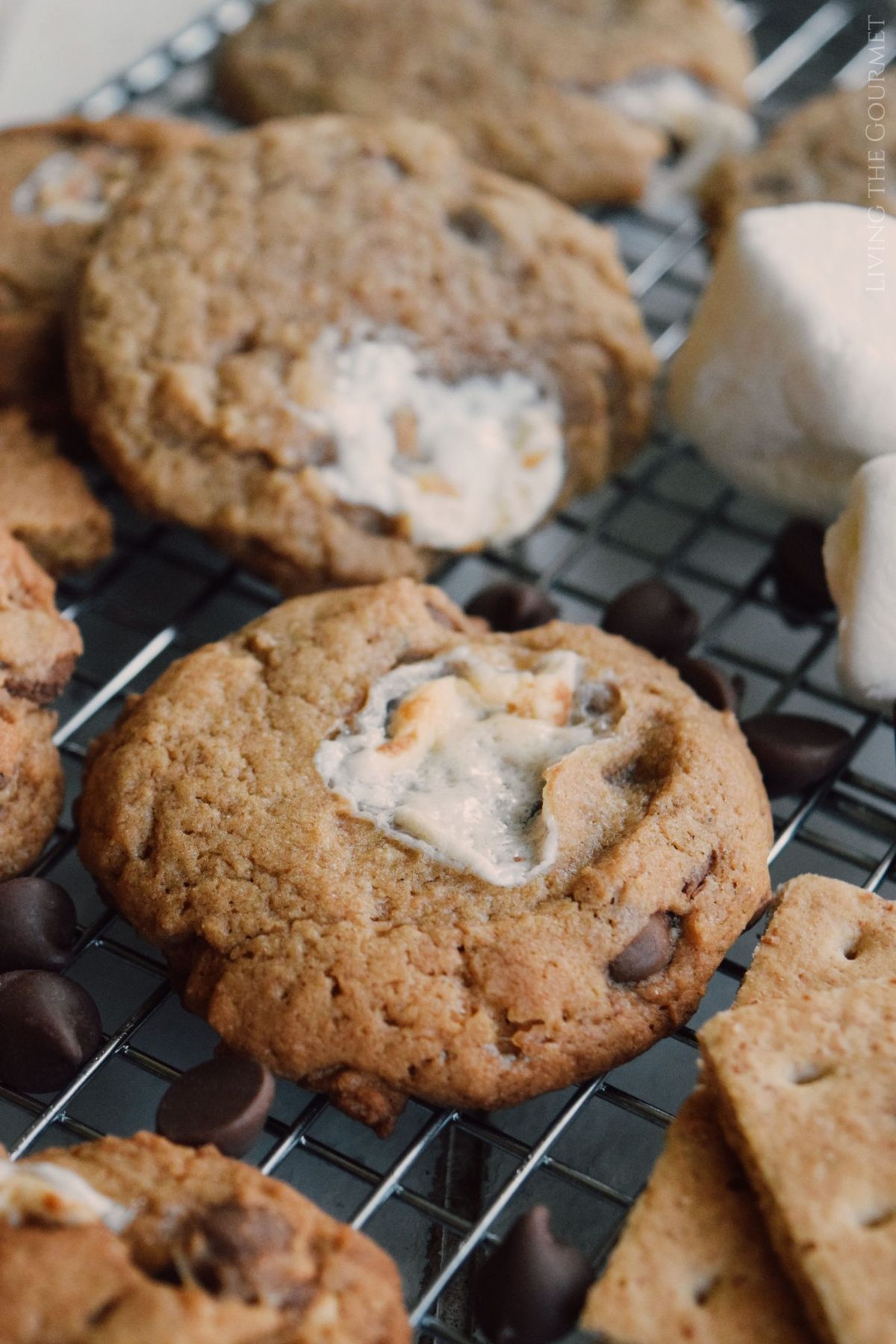 Brown Butter S'mores Chocolate Chip Cookies