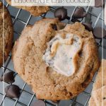 Brown Butter S'mores Chocolate Chip Cookies