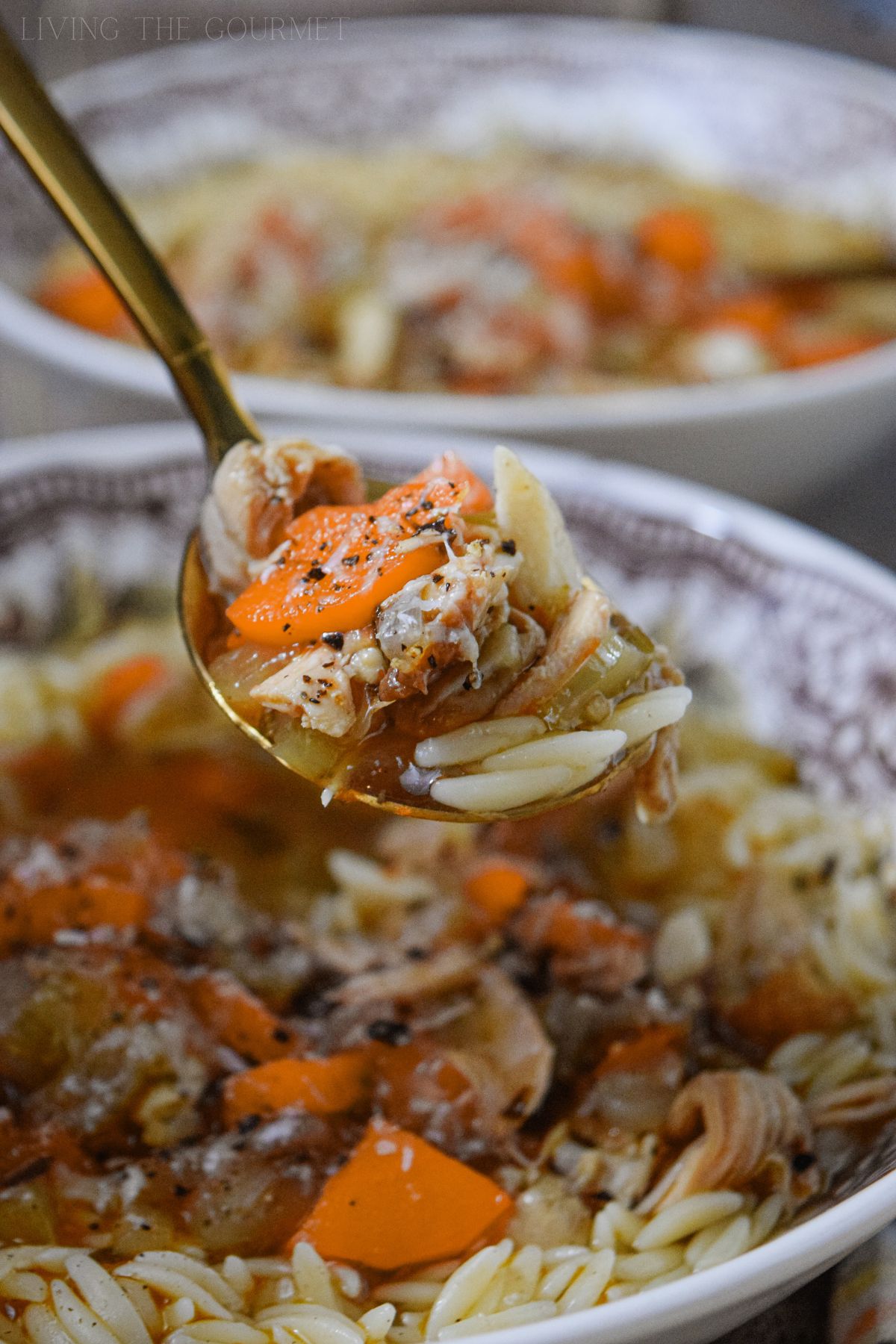 Leftover Chicken Noodle Soup