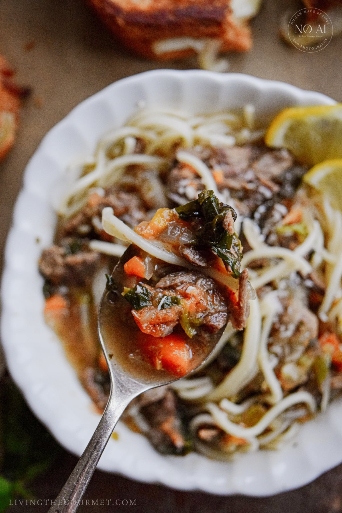 A spoonful of Beef and Vegetable Soup