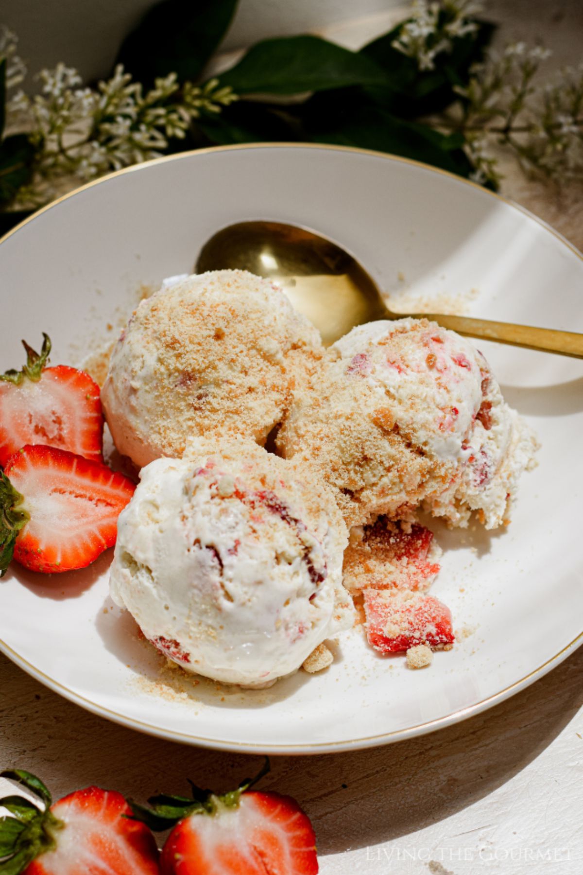 Strawberry Shortcake Ice Cream (No Churn)