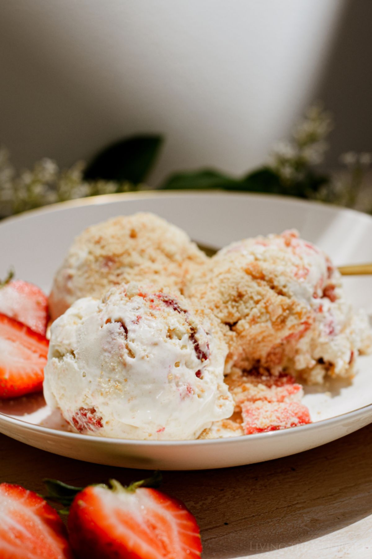 Strawberry Shortcake Ice Cream (No Churn)