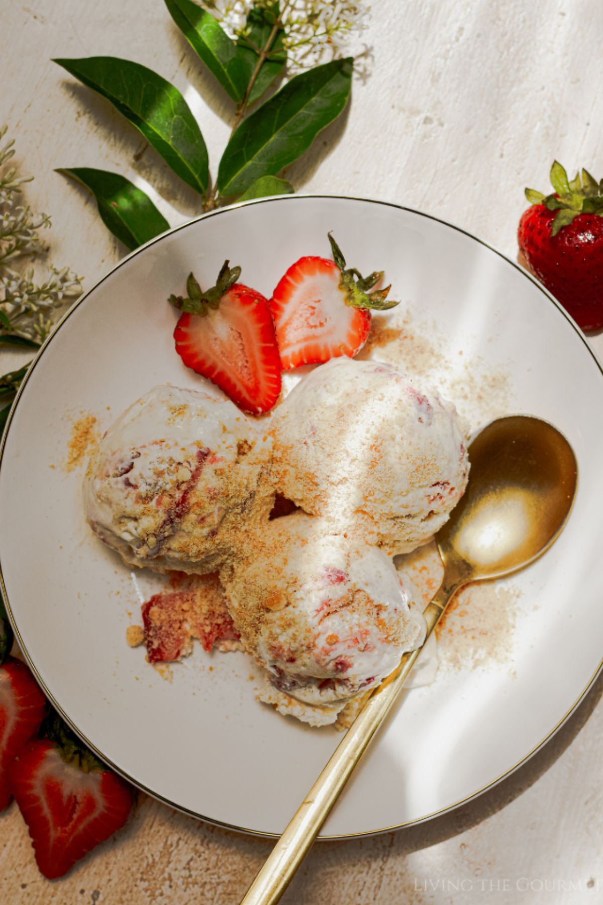 Strawberry Shortcake Ice Cream (No Churn)