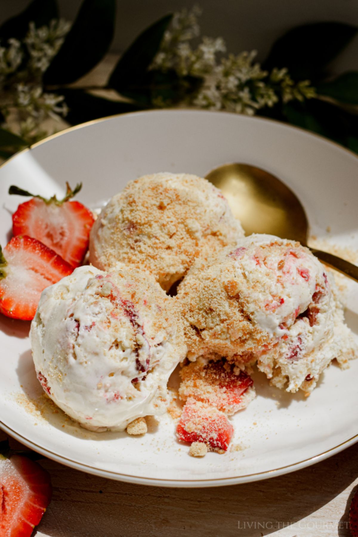 Strawberry Shortcake Ice Cream (No Churn)
