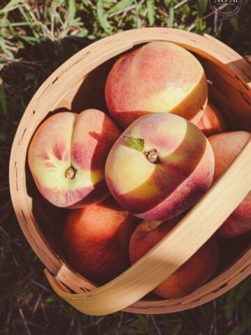 Summer peaches
