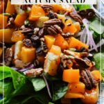 Butternut Squash Autumn Salad