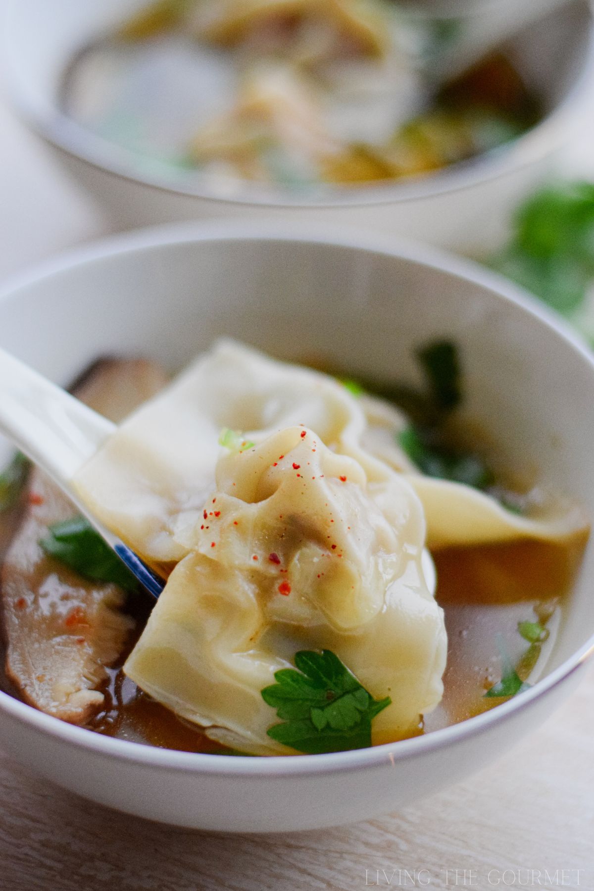 Wonton Soup