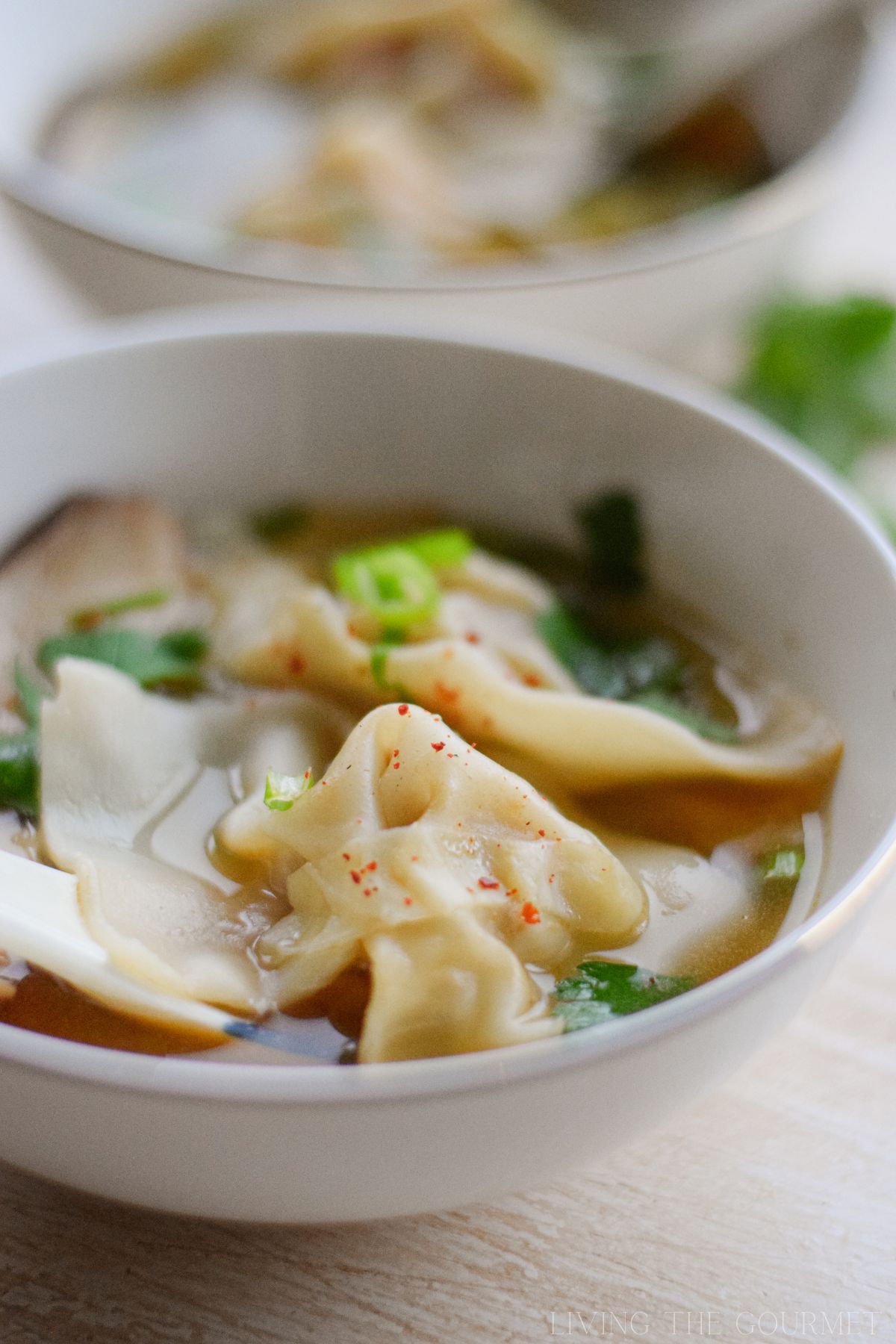 Wonton Soup