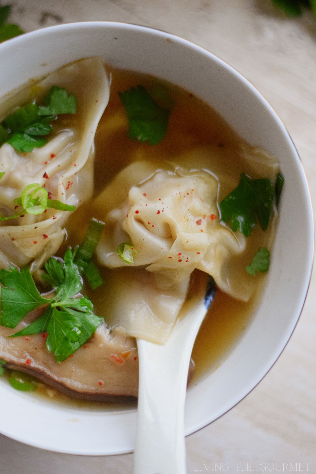 Wonton Soup