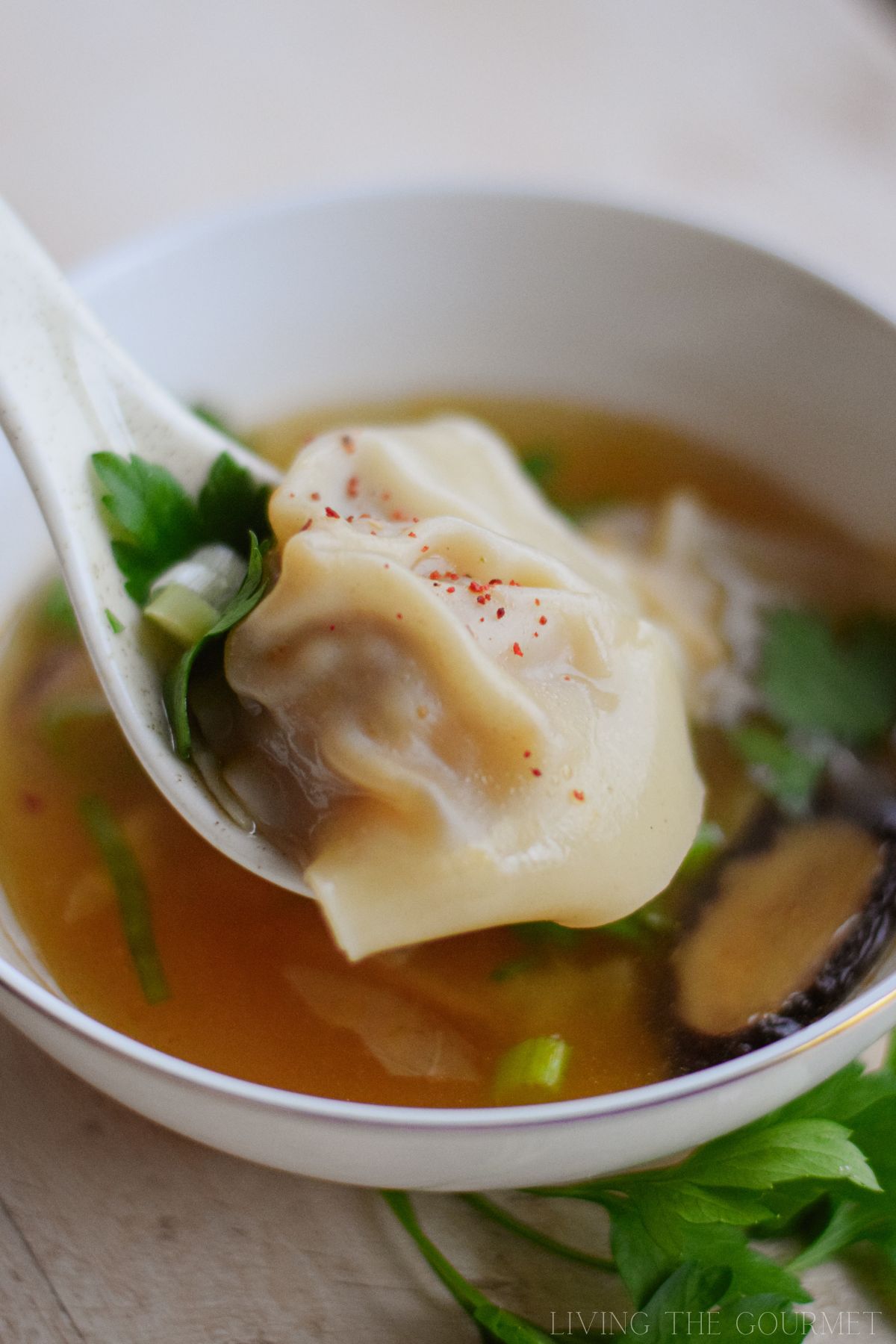 Wonton Soup