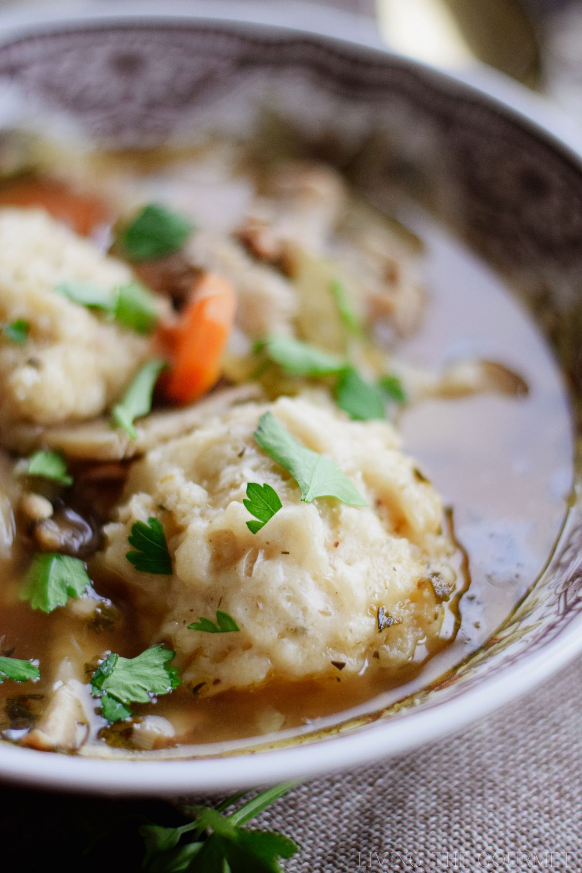 Chicken and Dumplings