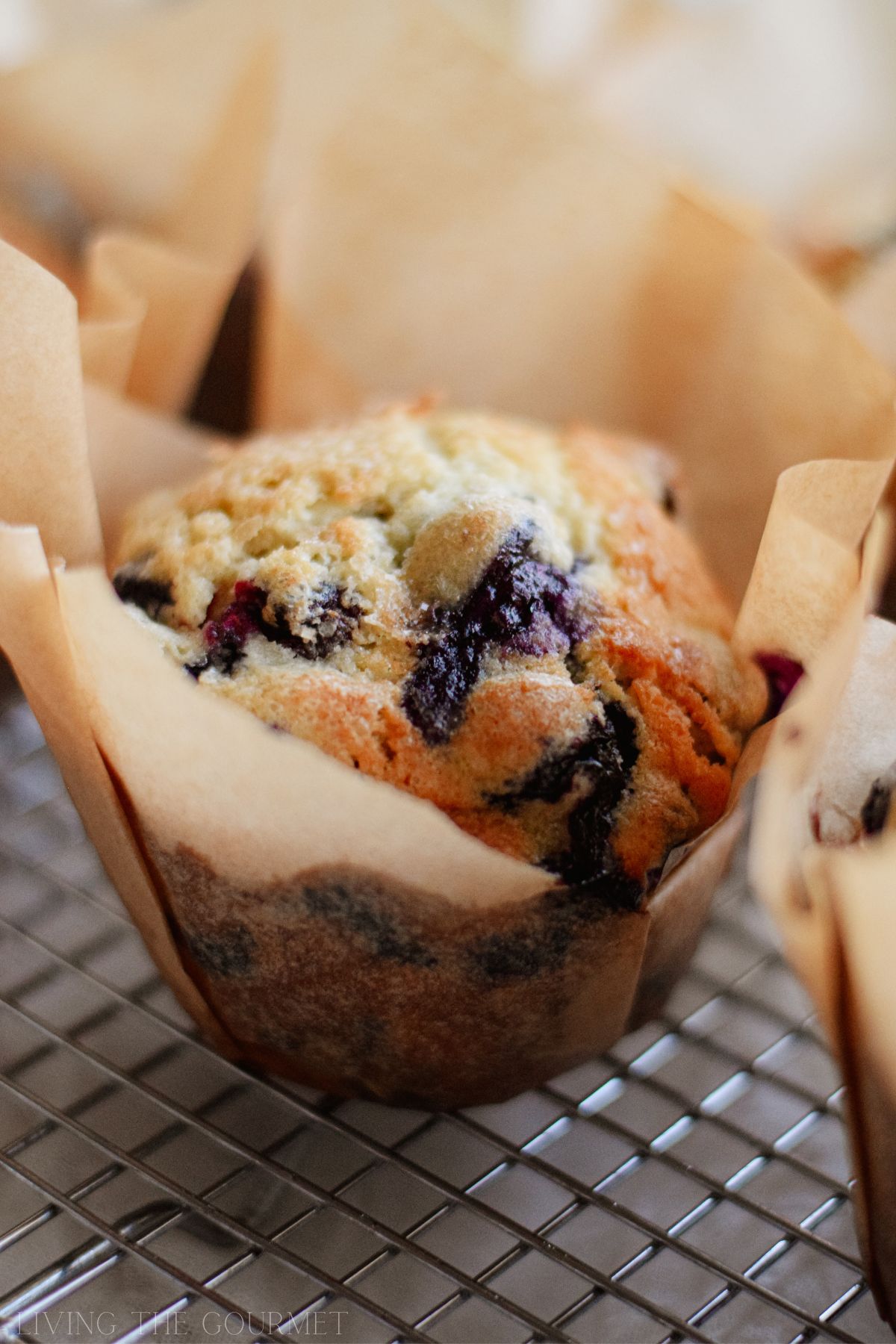 Jordan Marsh's Blueberry Muffins Recipe