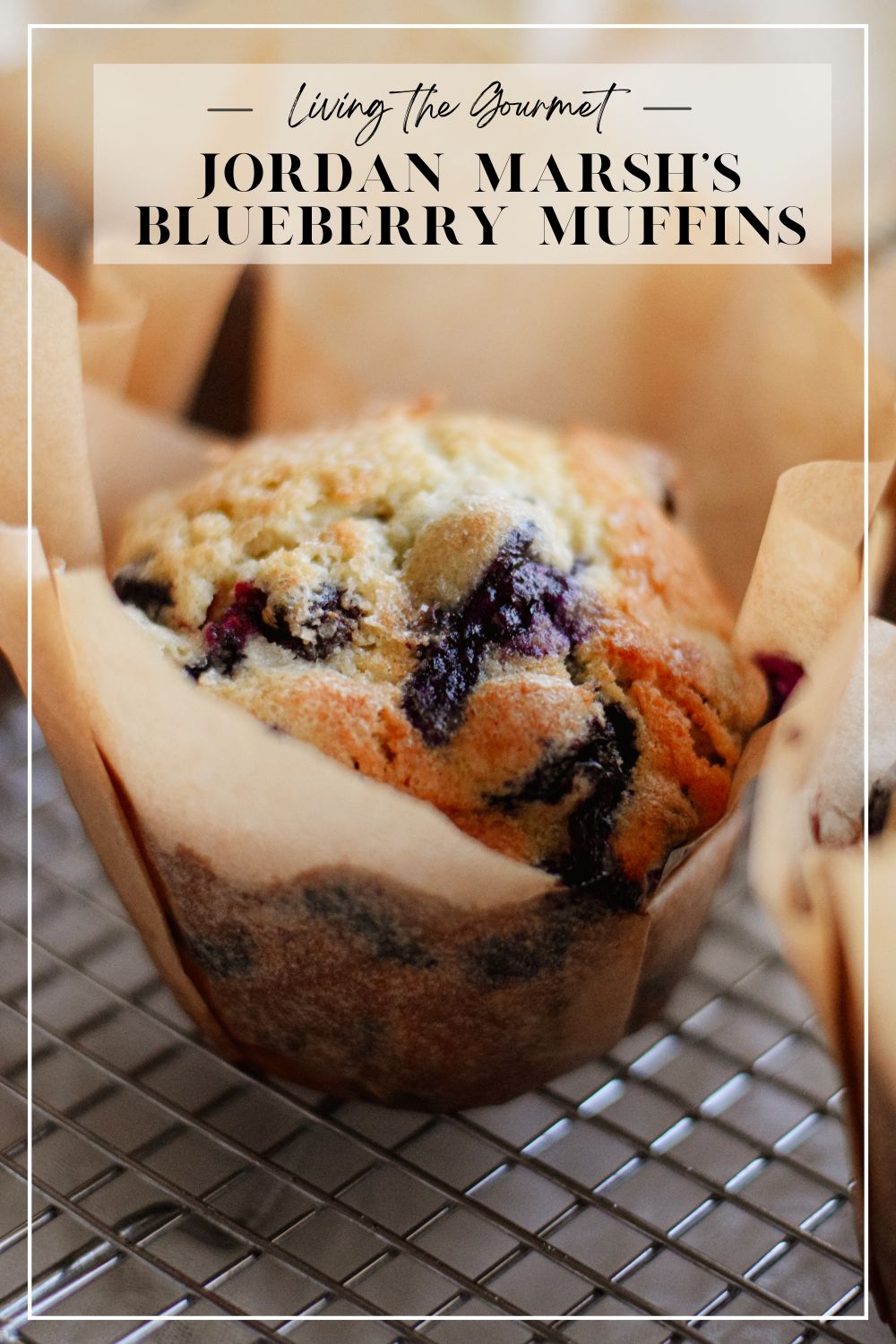 Jordan Marsh's Blueberry Muffins Recipe - Living The Gourmet