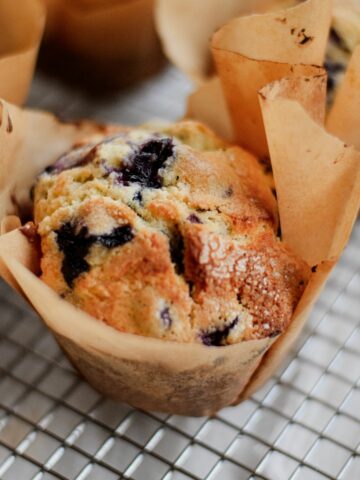 Jordan Marsh's Blueberry Muffins Recipe