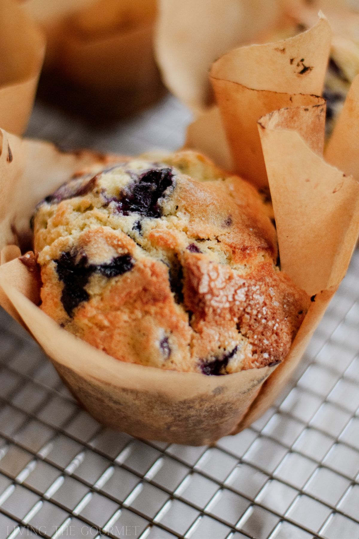 Jordan Marsh's Blueberry Muffins Recipe