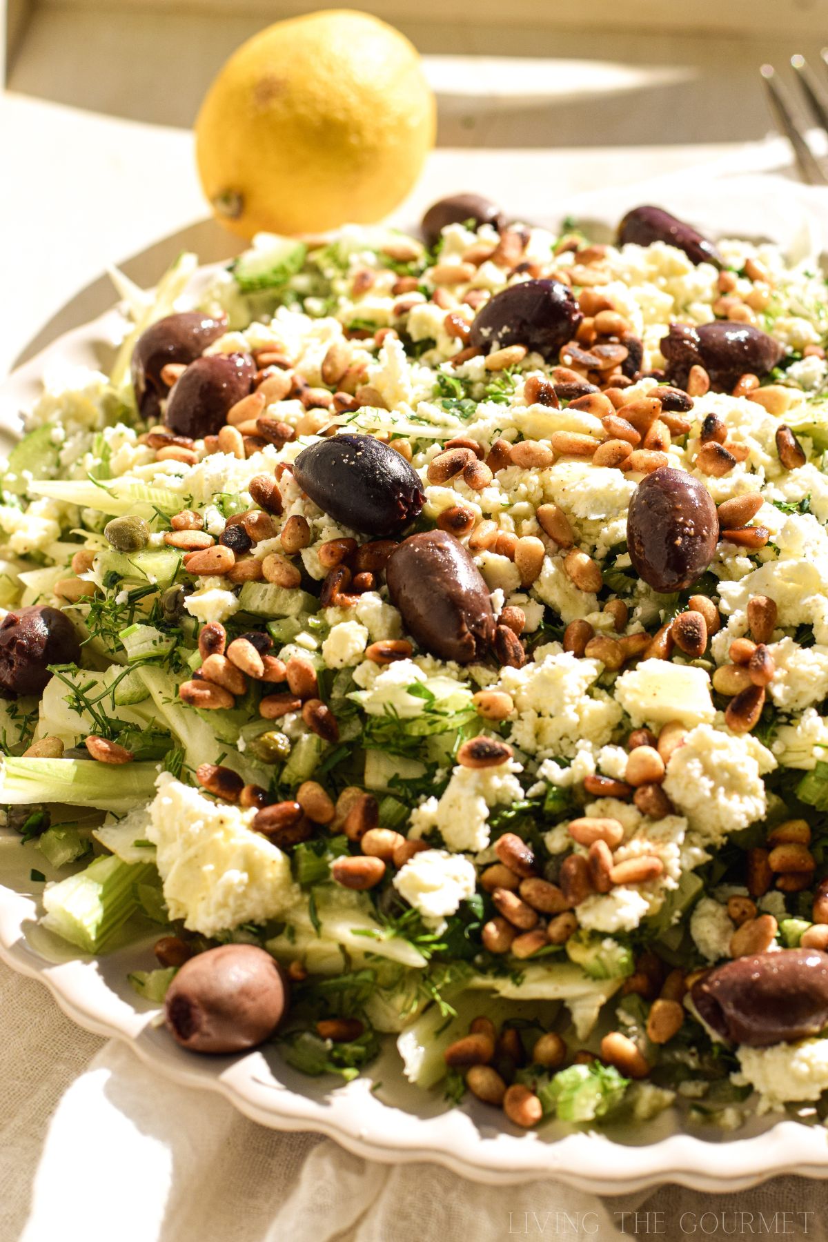 Mediterranean Fennel Salad