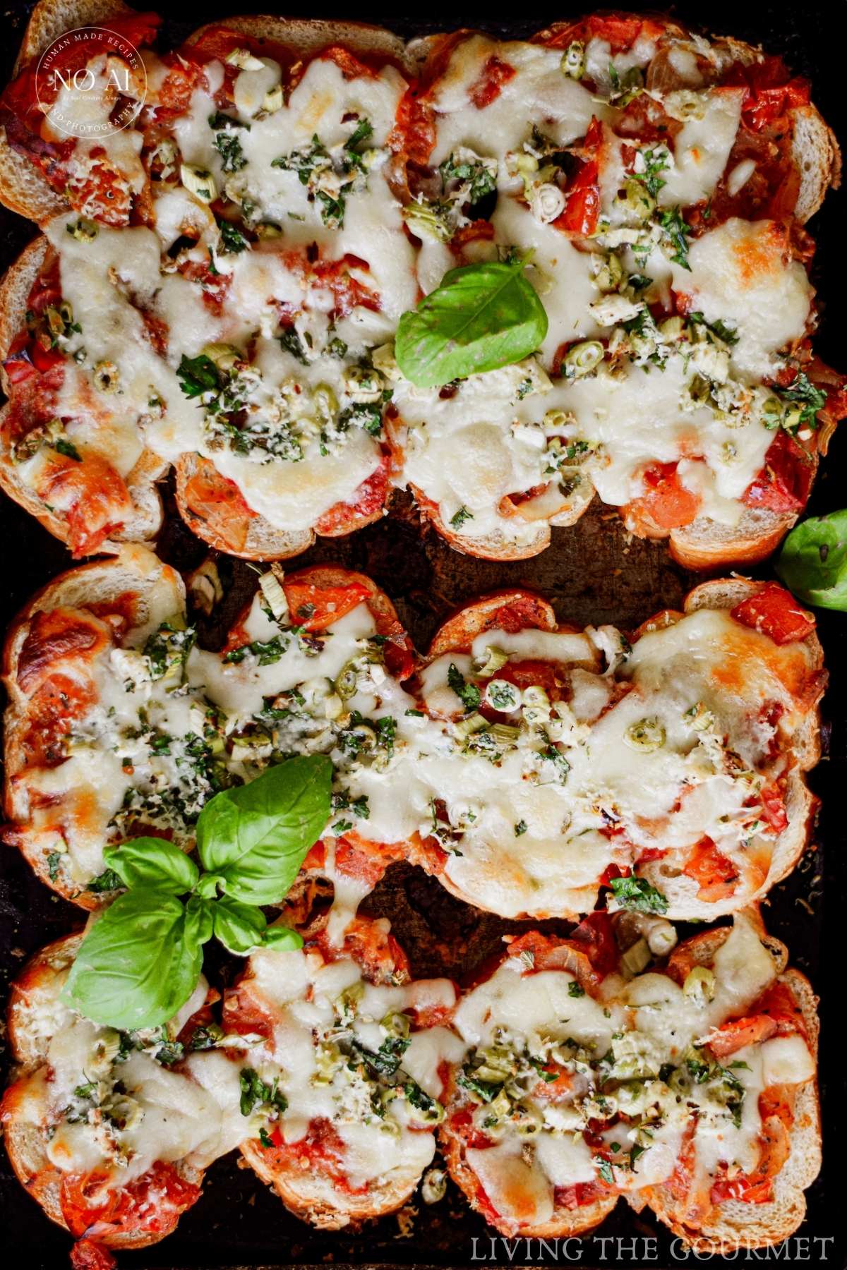 Mozzarella cheese melted to gooey decadence, a savory marinara sauce made with fresh tomatoes and caramelized onions, topped on crisped Italian bread, and then baked to golden perfection.