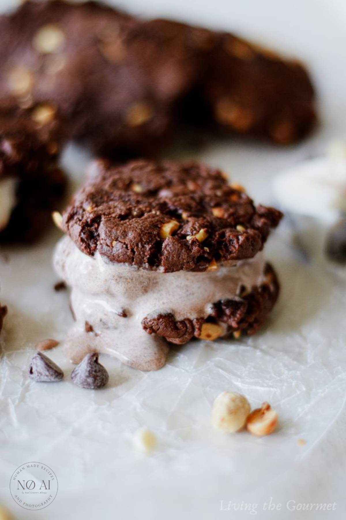 These double chocolate peanut cookies are perfect for ice cream sandwiches all summer long!