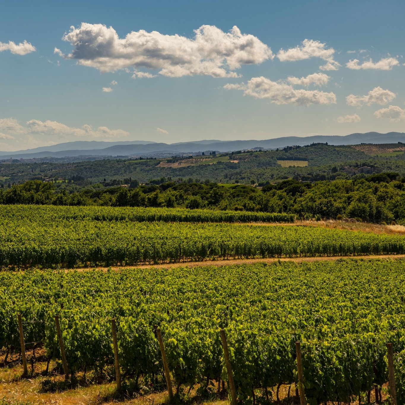 Under the Tuscan Sun