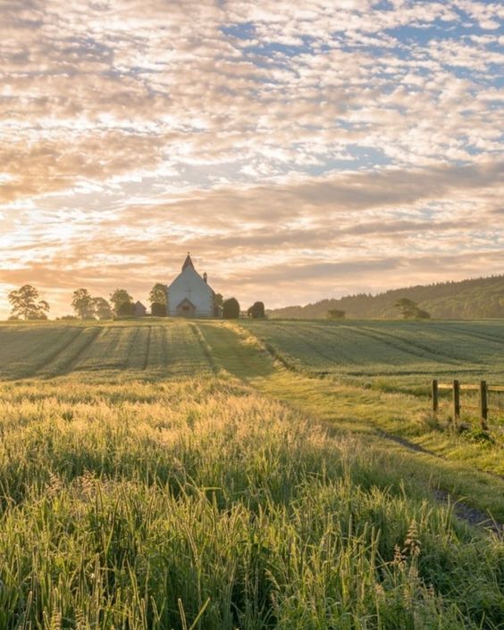 An English Summer with Louis Pommery