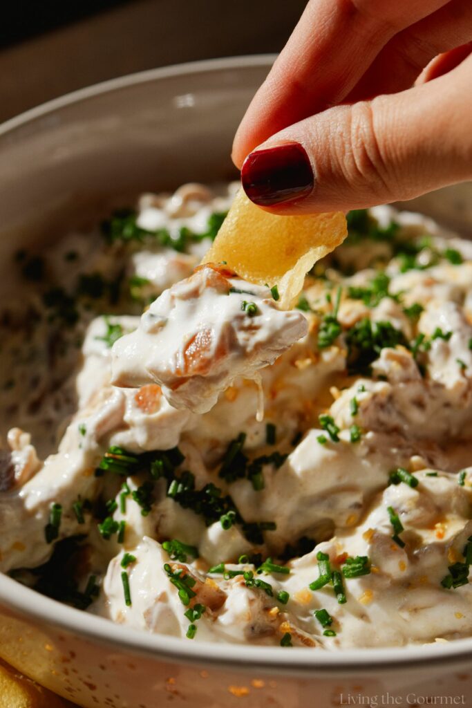 Caramelized Onion Dip Recipe