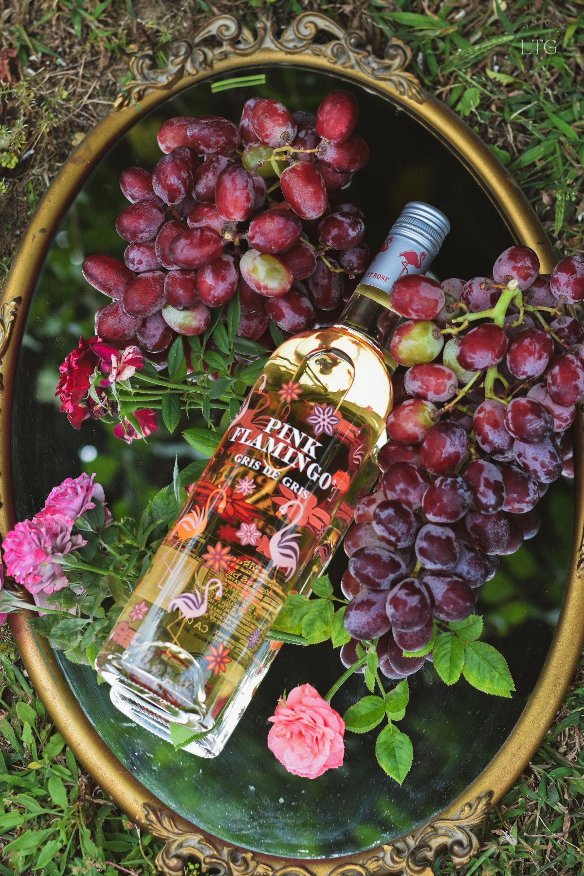 Pink Flamingo Gris de Gris review
