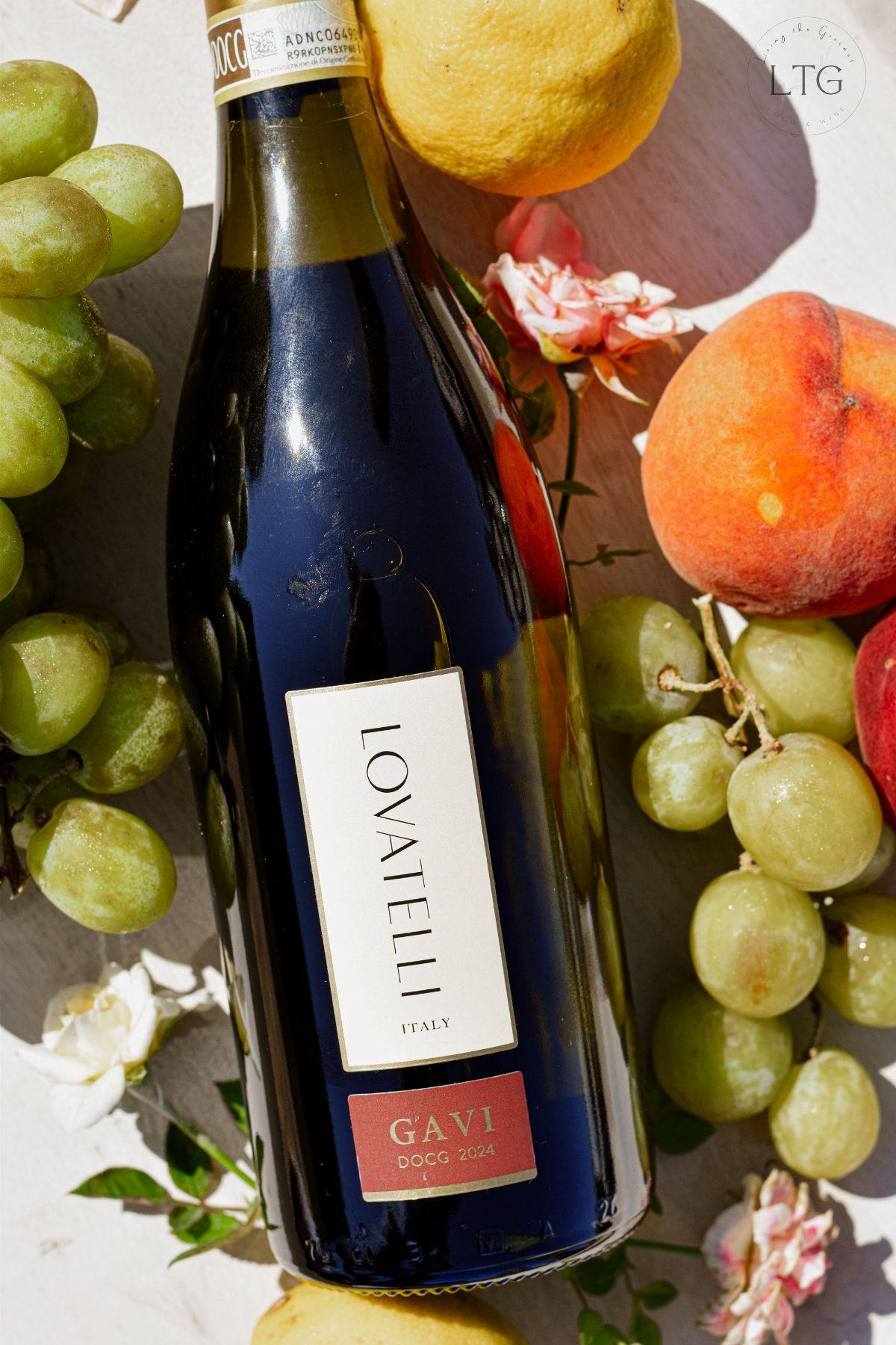 Lovatelli Gavi DOCG 2024 Review