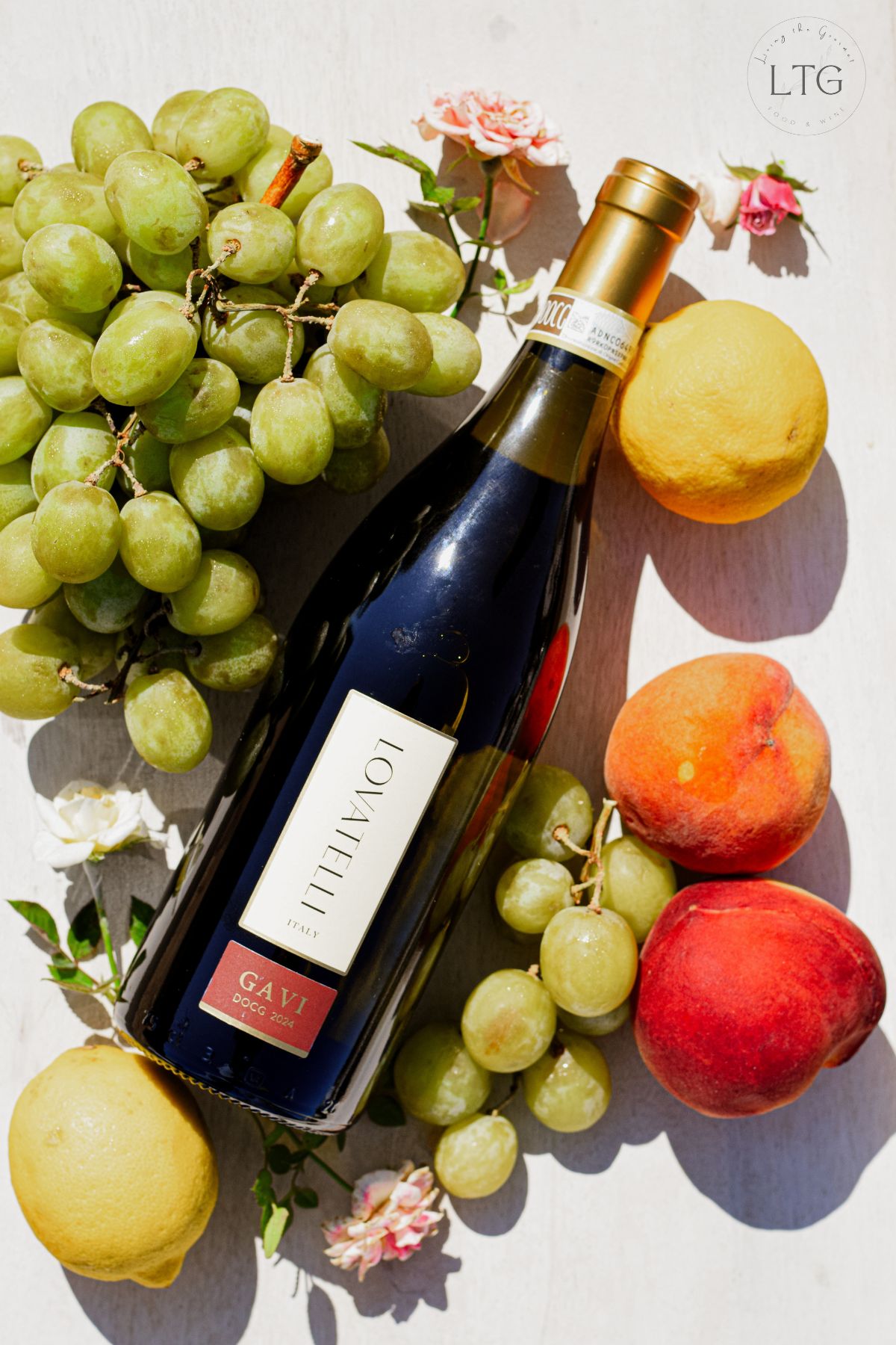 Lovatelli Gavi DOCG 2024 Review