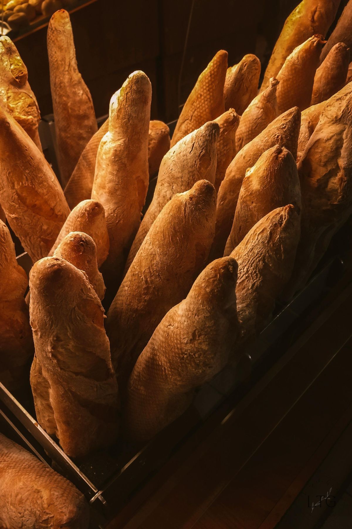 How to Revive Leftover Bread