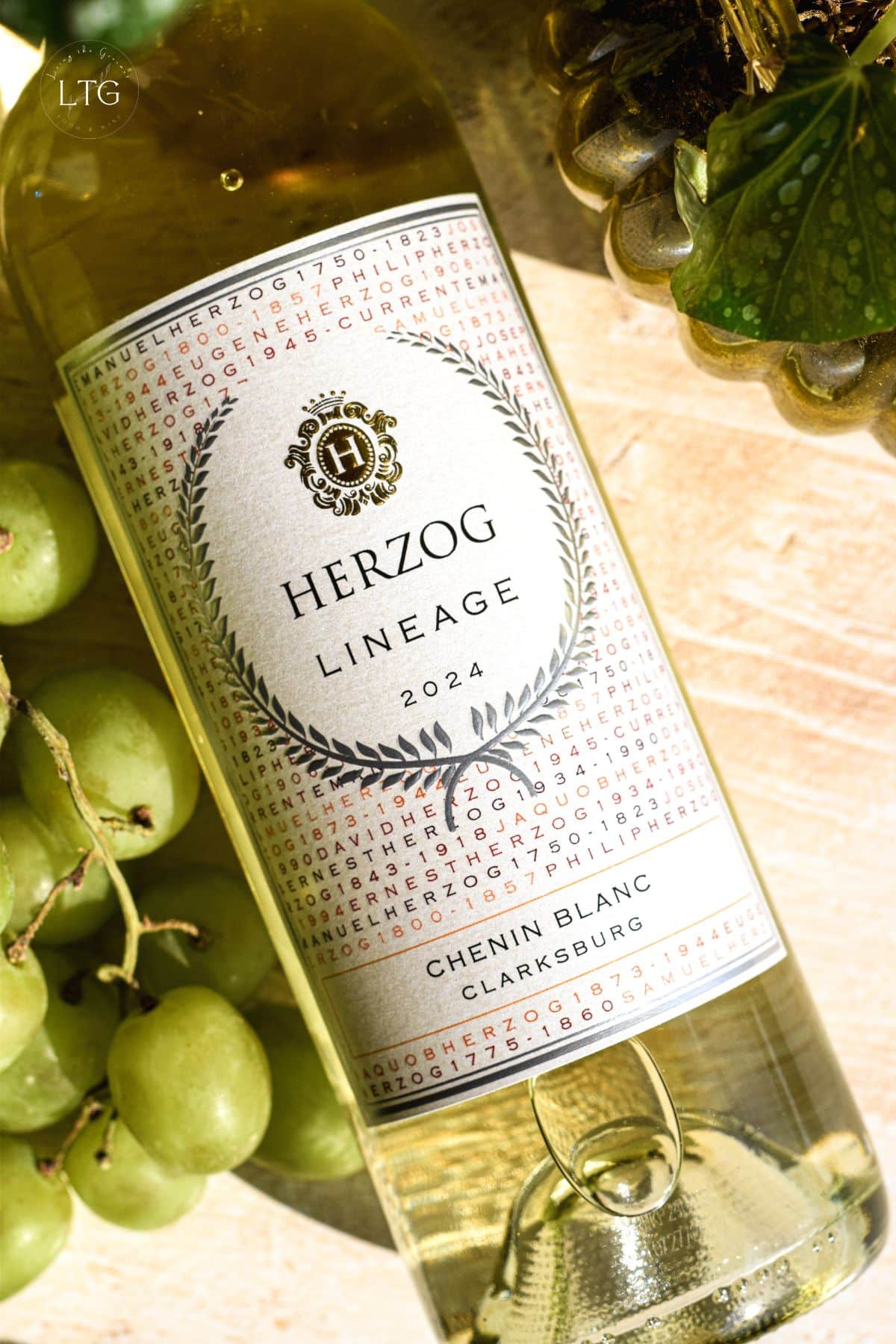 Herzog Lineage 2024 Clarksburg Chenin Blanc Review