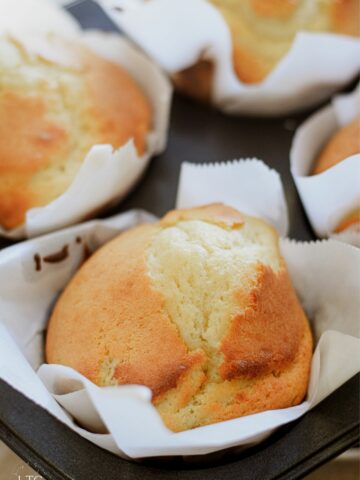 Plain Bakery-Style Muffins