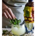 The Absinthe Frappe