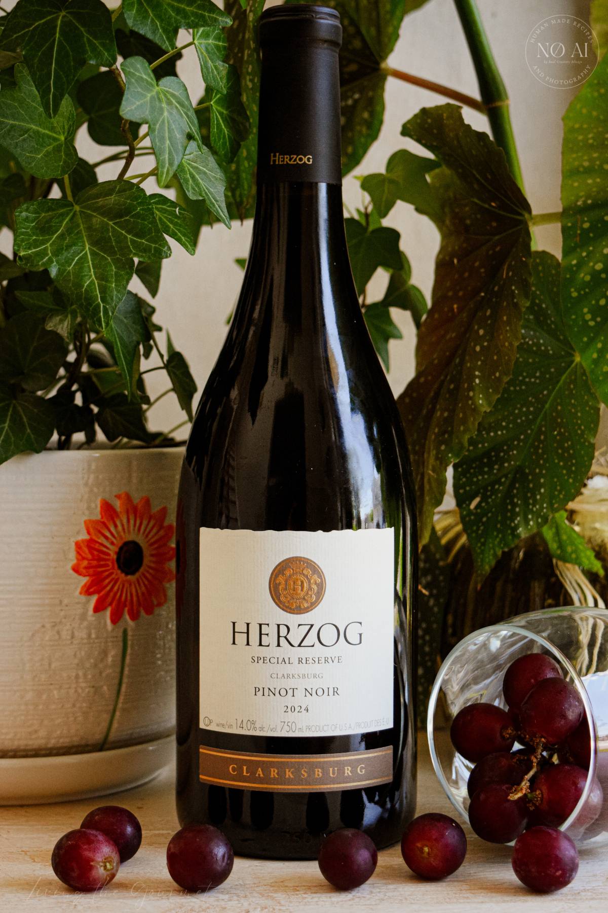 Herzog Special Reserve Clarksburg Pinot Noir 2024 is targeted towards New World Pinot Noir enthusiasts who prefer bright fruit notes over rustic earthiness.